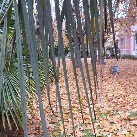 Hotel Alihuen Sierra de la Ventana Zewnętrze zdjęcie