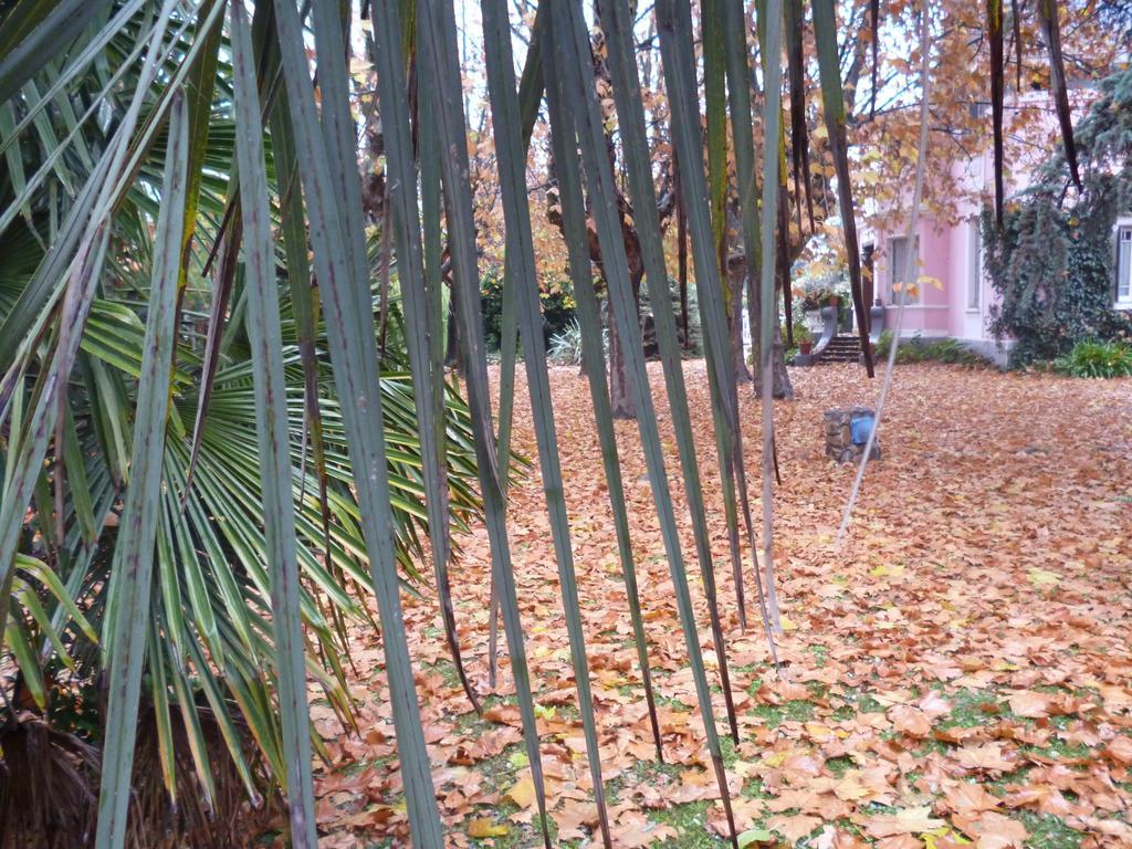 Hotel Alihuen Sierra de la Ventana Zewnętrze zdjęcie