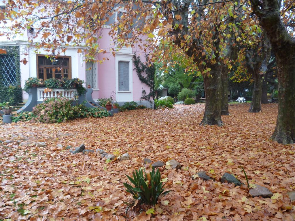 Hotel Alihuen Sierra de la Ventana Zewnętrze zdjęcie